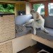 Dangerz, Volkswagen, green travel, retrofit, solar panels, RV, camper, Pan-American Highway, VW, design, eco-friendly materials,