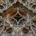 Eric Standley, paper cut, paper sculptures, biodegradable, laser-cut, Art, Green Materials, Recycling / Compost