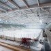 Ice Rink of Liège, l'Escaut, ice rink, belgium, whale shaped ice rink, energy efficient design