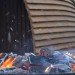 Loch Ness Glamping, Loch Ness, Glamping, eco camping pods, eco hotel, eco B&B, scotland