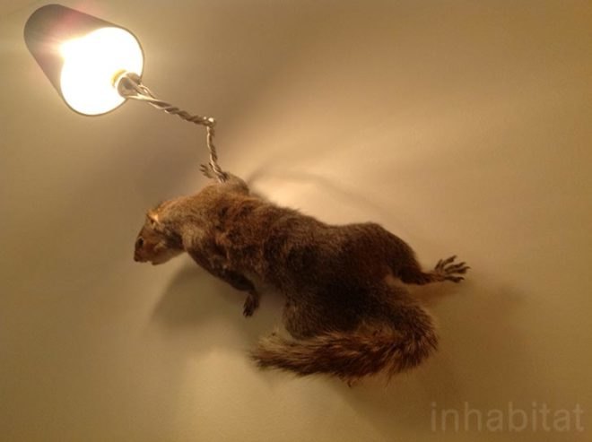 maison et objet, maison et objet 2013, eco design, sustainable design, taxidermied squirrel, DYI inspiration