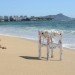 recycled plastic bags, plastic bag repair, stool fixed with plastic bags, Hongtao Zhou, recycled plastic, green art, eco art, green design, sustainable design, hawaii, pacific garbage patch, plastic oceans, green interiors, green furniture, recycled furniture