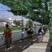 Restoration Plans for LA River, la river, la river revitalization, mia lehrer and associates, los angeles, glendale narrows riverwalk