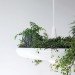 Babylon Light, Ryan Taylor, Back to the Future, Garden, lighting, aluminum, light, plants