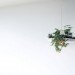 Babylon Light, Ryan Taylor, Back to the Future, Garden, lighting, aluminum, light, plants
