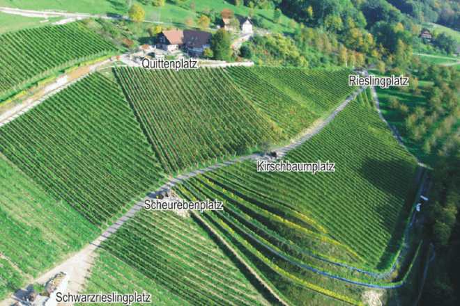 Germany, The Black Forest, Schlafen im Weinfass, wine barrel rooms, wine barrel hotel, vineyards, wine-making, Sasbachwalden, Air BnB, funky hotel, recycled wine barrels, recycled materials, green design, sustainable design, eco-design, eco-tourism, sustainable tourism