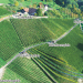 Germany, The Black Forest, Schlafen im Weinfass, wine barrel rooms, wine barrel hotel, vineyards, wine-making, Sasbachwalden, Air BnB, funky hotel, recycled wine barrels, recycled materials, green design, sustainable design, eco-design, eco-tourism, sustainable tourism