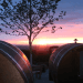 Germany, The Black Forest, Schlafen im Weinfass, wine barrel rooms, wine barrel hotel, vineyards, wine-making, Sasbachwalden, Air BnB, funky hotel, recycled wine barrels, recycled materials, green design, sustainable design, eco-design, eco-tourism, sustainable tourism