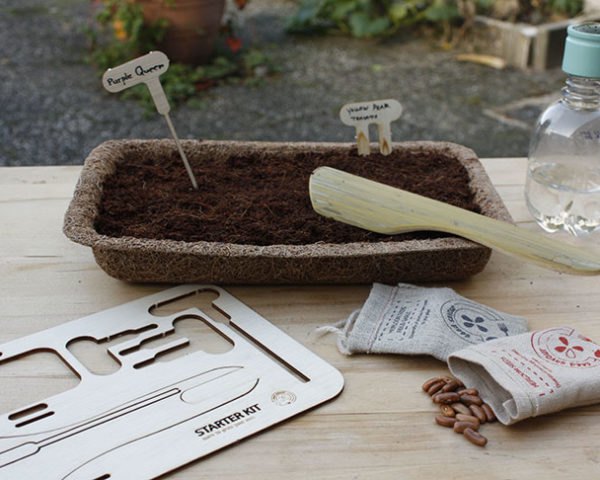 Sebastiaan Sennema, Seed Savour, growing kit, seed growing, eco-friendly kit, Design Academy of Eindhoven, Urban farming, Botanical, green Products, Green Materials, green packaging