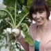 Sebastiaan Sennema, Seed Savour, growing kit, seed growing, eco-friendly kit, Design Academy of Eindhoven, Urban farming, Botanical, green Products, Green Materials, green packaging