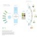 Sebastiaan Sennema, Seed Savour, growing kit, seed growing, eco-friendly kit, Design Academy of Eindhoven, Urban farming, Botanical, green Products, Green Materials, green packaging