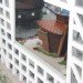green design, eco design, sustainable design, Sliced Porosity Block, Capitaland Raffles City, Steven Holl Architects, Chengdu China, Du Fu, LEED Gold Buildings China