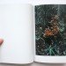 green design, eco design, sustainable design, Takashi Homma, Radioactive mushrooms, Fukushima, Fukushima Forest, Tanaka Yoshihisa, Mushrooms of the FOrest