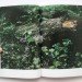 green design, eco design, sustainable design, Takashi Homma, Radioactive mushrooms, Fukushima, Fukushima Forest, Tanaka Yoshihisa, Mushrooms of the FOrest
