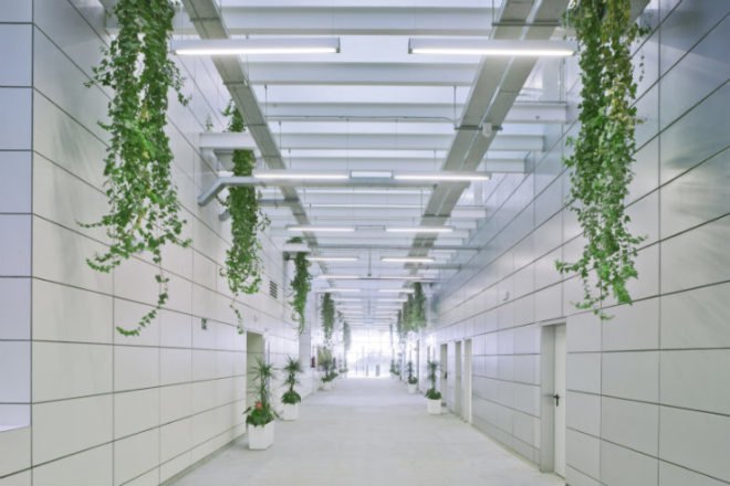 Tecnova Headquarters, Ferrer Arquitectos, PITA, Pitagoras, louvered facade, almeria, spain