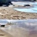 green design, eco design, sustainable design, Simon Beck, Tony Plant, ephemeral art, beach art, guerilla beach art, surf art