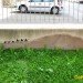 Urban Interventions, OakOak, street art, graffiti, street artist, playful street art, eco art, urban art