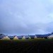 Vejlskovgaard Stable, Odder, Denmark, dairy cows, club med for dairy cows, milk, farm, design, sustainable design, ventilation, eco design, daylighting, natural light