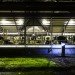 Vejlskovgaard Stable, Odder, Denmark, dairy cows, club med for dairy cows, milk, farm, design, sustainable design, ventilation, eco design, daylighting, natural light