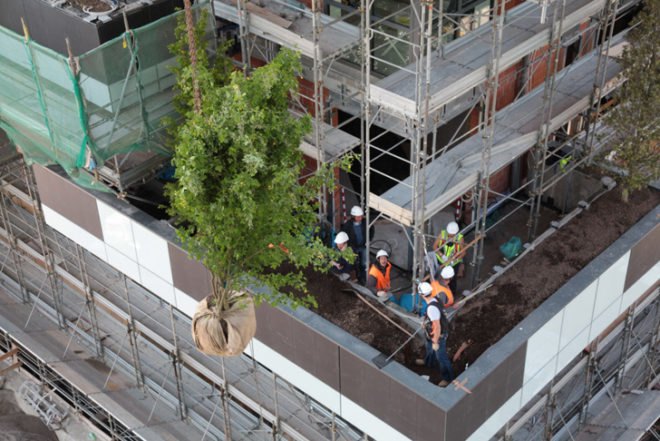 Bosco Verticale, green tower, plant tower, living tower, vertical forest, world's first vertical forest, eco architecture, green architecture, living buildings, Aeolian energy, photovoltaic energy, Stefano Boeri Architetti, Stefano Boeri Architects, Stefano Boeri, italian architecture, italy architecture, milan architecture, bosco verticale construction, bosco verticale construction photos