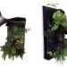 farm buddy, green wall, green wall kit, grow your own green wall, living wall, living wall kit, plant wall, vertical garden, home vertical garden, vertical garden kit
