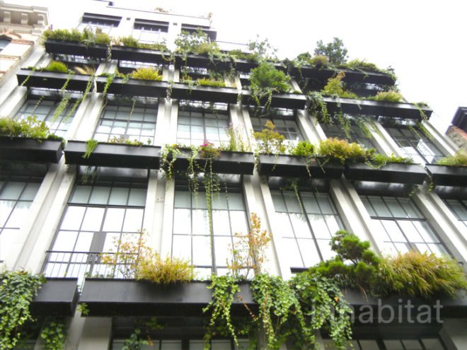 flowerbox duplex, flower box duplex, amazing homes nyc, nyc homes, beautiful homes nyc, nyc green home, vertical garden, pond in living room, green design, eco design, green wall, ny interior design, interior design, cool nyc apartments, dwell, city modern home tours, pulltab design