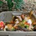 naturemill, composting, compost, freeser compost, hot to start a compost, compost ideas, compost in an apartment, compost in a small space, sotring your organic scraps, storing your compost scraps, diy compost