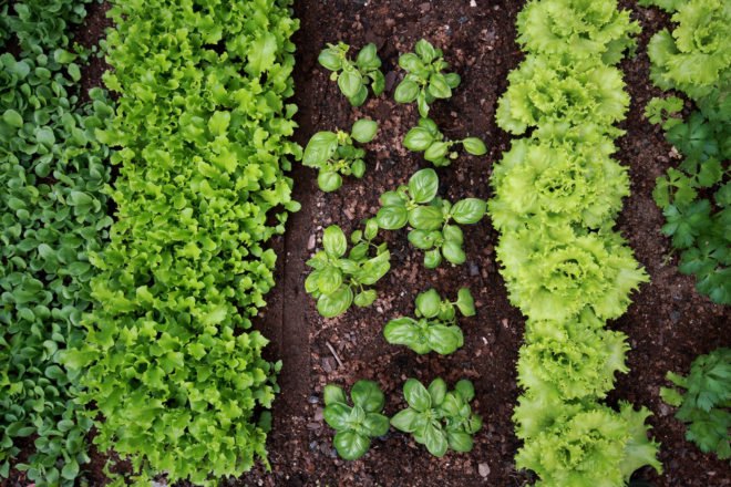 naturemill, composting, compost, freeser compost, hot to start a compost, compost ideas, compost in an apartment, compost in a small space, sotring your organic scraps, storing your compost scraps, diy compost