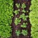 naturemill, composting, compost, freeser compost, hot to start a compost, compost ideas, compost in an apartment, compost in a small space, sotring your organic scraps, storing your compost scraps, diy compost