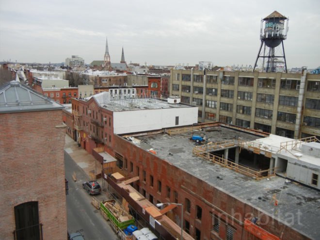 kickstarter, kickstarter greenpoint, kickstarter headquarters, kickstarter green roof, Ole Sondresen Architects, Ole Sondresen, green roof, green roofs, greenpoint green, green design, green architecture
