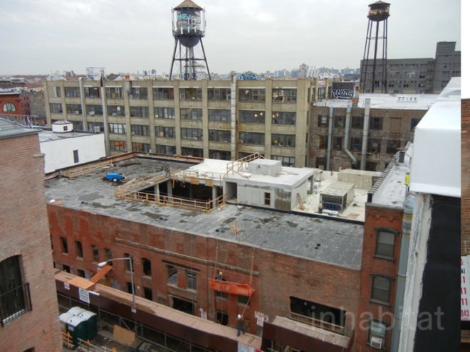 kickstarter, kickstarter greenpoint, kickstarter headquarters, kickstarter green roof, Ole Sondresen Architects, Ole Sondresen, green roof, green roofs, greenpoint green, green design, green architecture