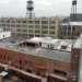kickstarter, kickstarter greenpoint, kickstarter headquarters, kickstarter green roof, Ole Sondresen Architects, Ole Sondresen, green roof, green roofs, greenpoint green, green design, green architecture