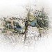 naau, cultured landscape transiting cities, competition, outr, rmit, melbourne, latrobe city, australia