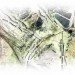 naau, cultured landscape transiting cities, competition, outr, rmit, melbourne, latrobe city, australia