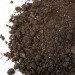 Toshio Tanabe, Ne Quittez Pas, French Restuarant, Dirt Food, Dirt Restaurant, Strange Ingredients, Sustainable Food