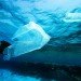 great pacific garbage patch, oceans, plastic waste, University of New South Wales, Australian Research Council Centre of Excellence for Climate System Science, climate change, pollution