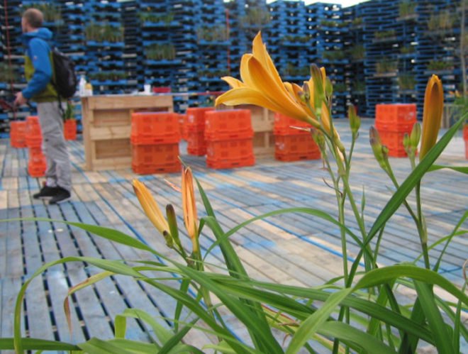 pallet pavilion, christchurch, green architecture, sustainable architecture, new zealand, recycled shipping pallets, recycled materials, green design, sustainable design, salvaged pallets, shipping pallets
