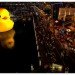 rubber duck, sydney, australia, florentijn hofman, installation, sydney festival
