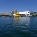 rubber duck, sydney, australia, florentijn hofman, installation, sydney festival
