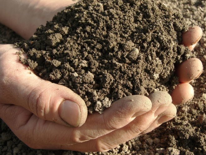 Soil, topsoil, fertile soil, dirt, handfuls of soil
