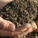 Soil, topsoil, fertile soil, dirt, handfuls of soil