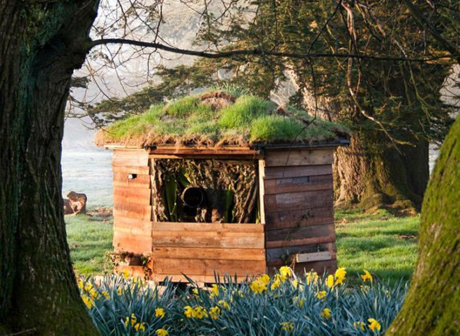 Victor Manuel Fleites Escobar, white squirrel, Brockwood Park School, Conservationist, moss, local wood, shed, woodland, Animals, Architecture, Green Materials,