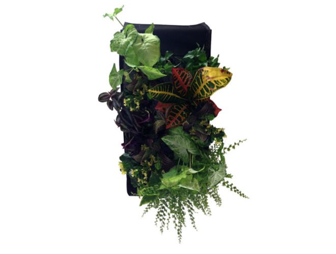 farm buddy, green wall, green wall kit, grow your own green wall, living wall, living wall kit, plant wall, vertical garden, home vertical garden, vertical garden kit
