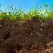 Soil, topsoil, fertile soil, dirt, cross-section of soil