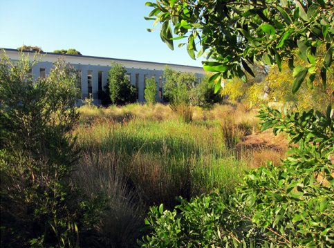 Suters Architects, Architecture, sustainable architecture, eco education, education, sustainable school, Sustainable, green architecture, Melbourne, australia architecture, Australia