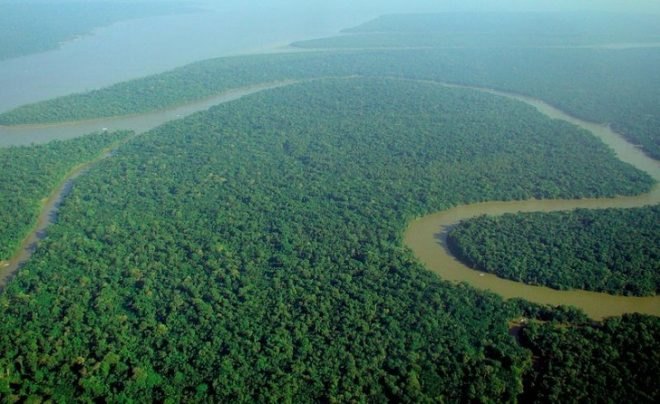 Brazil rainforest, Amazon rainforest conservation, Amazon deforestation, Brazil deforestation, Brazil Amazon survey, environmental destruction, climate change, Brazil Amazon conservation, environment conservation, tropical rainforests