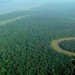 Brazil rainforest, Amazon rainforest conservation, Amazon deforestation, Brazil deforestation, Brazil Amazon survey, environmental destruction, climate change, Brazil Amazon conservation, environment conservation, tropical rainforests