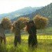 Bhutan organic agriculture, Bhutan organic food, sustainable economy, organic fertilizers, pesticides, sustainable agriculture, sustainable food