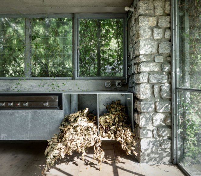 green design, eco design, sustainable design, Green Box, Act_romegialli, green roof, Italian Alps, vine covered garage, living walls