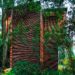 Chipicas Town Houses, Alejandro Sanchez Garcia, vertical houses, low impact housing, sustainable design, eco architecture, mexico architecture, green design